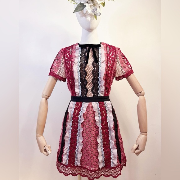 Self-Portrait Panelled Bellis Lace Trim Mini Dress (100% Authentic) - Picture 4 of 16